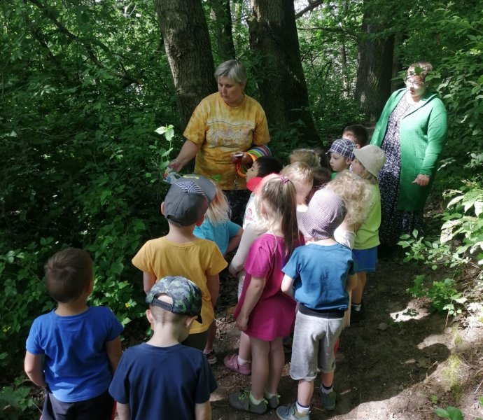 Obrázek galerie  18794