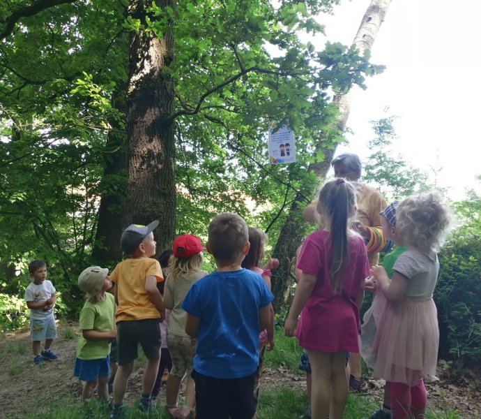 Obrázek galerie  18809