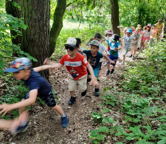 Obrázek galerie  18842