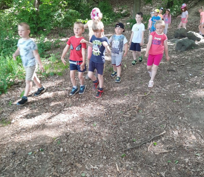 Obrázek galerie  18846