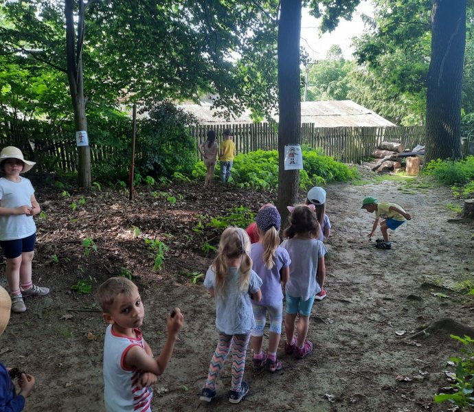 Obrázek galerie  18920