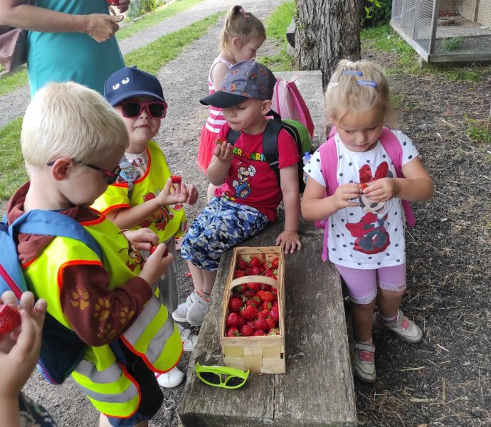 Obrázek galerie  19220