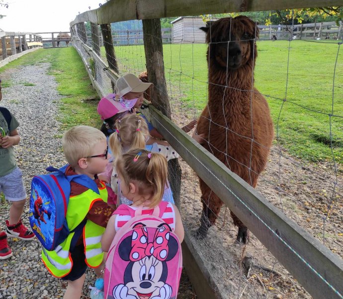 Obrázek galerie  19222