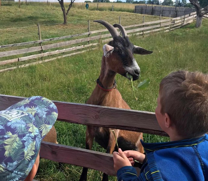 Obrázek galerie  19348