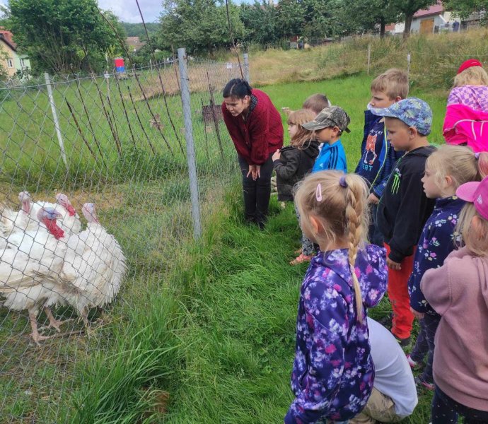 Obrázek galerie  19354