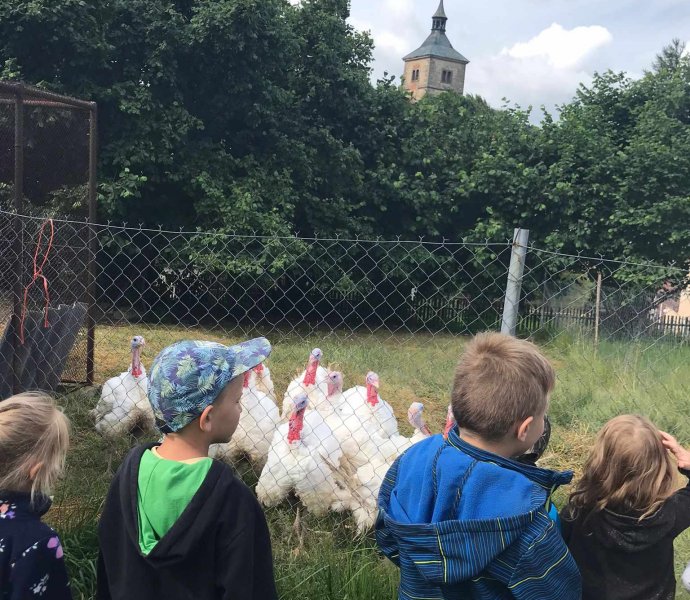 Obrázek galerie  19370