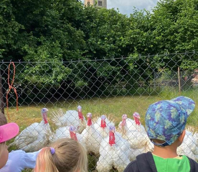 Obrázek galerie  19376