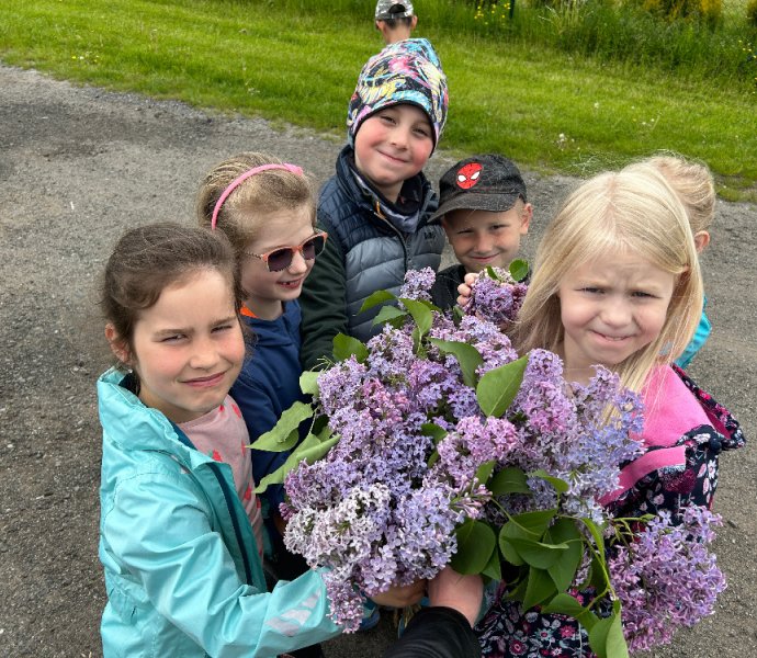 Obrázek galerie  19494