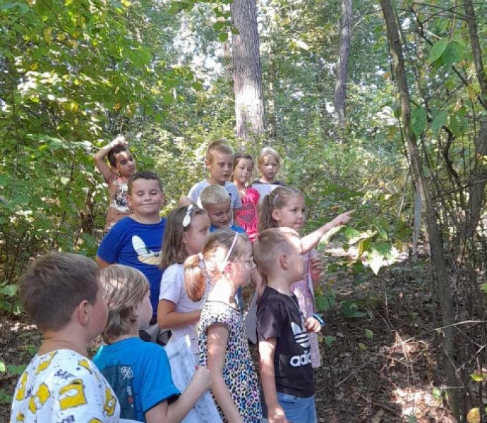 Obrázek galerie  19648