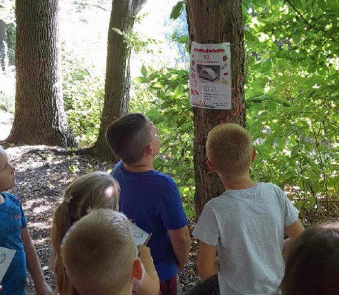 Obrázek galerie  19651