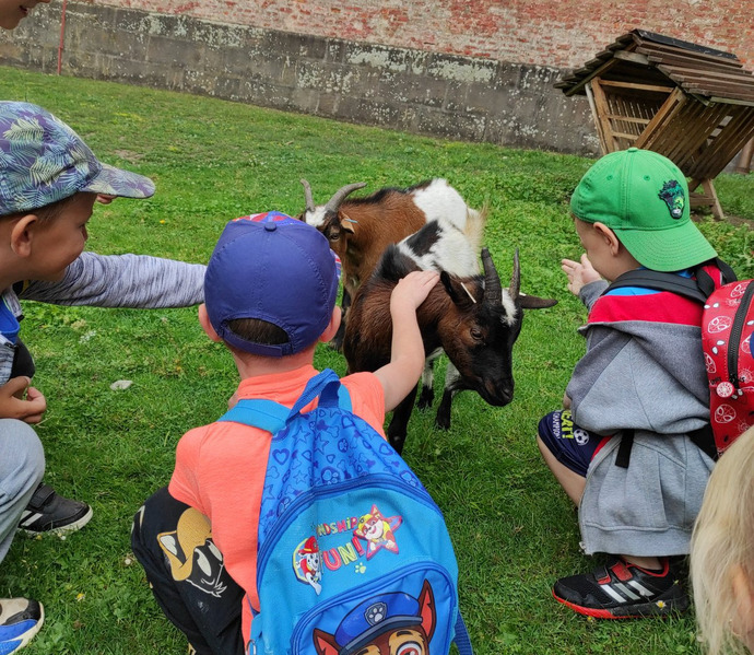 Obrázek galerie  19708