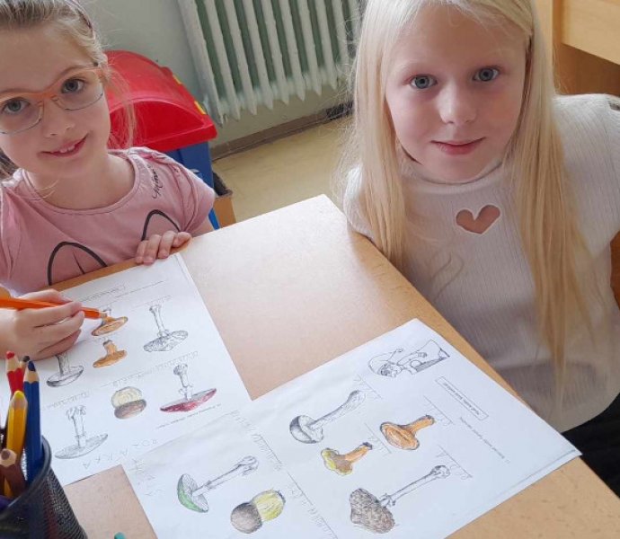 Obrázek galerie  19851