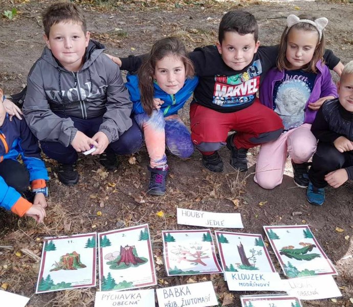 Obrázek galerie  19887