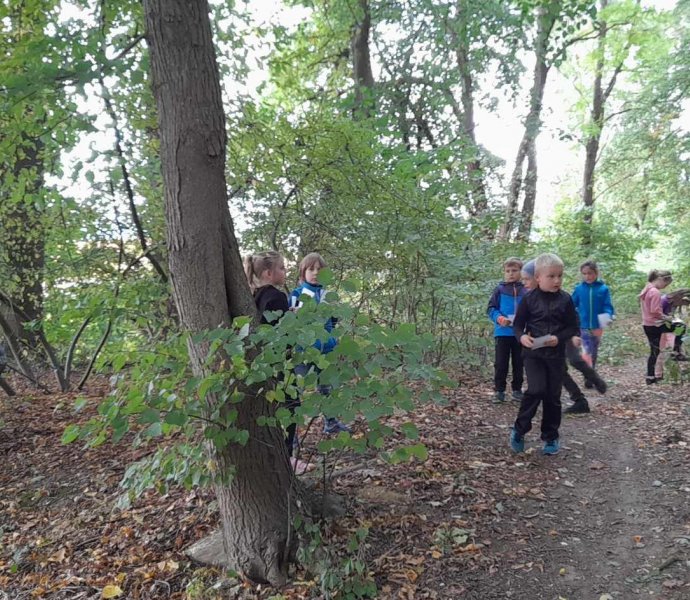 Obrázek galerie  19889