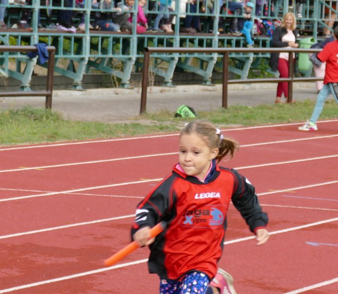 Obrázek galerie  19902