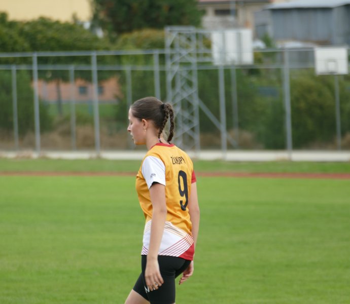 Obrázek galerie  19932