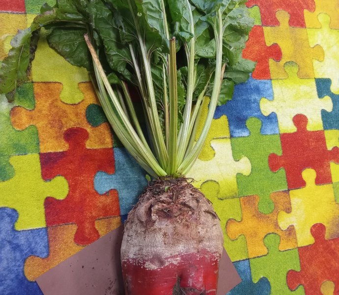 Obrázek galerie  20303