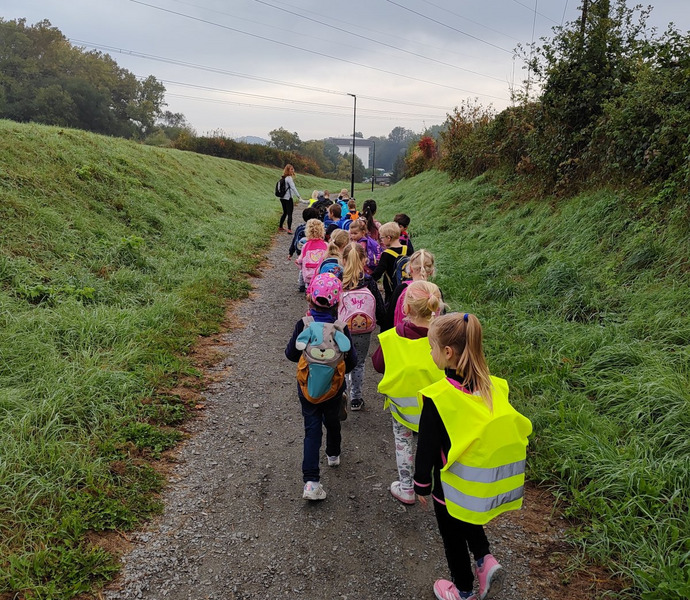 Obrázek galerie  20589