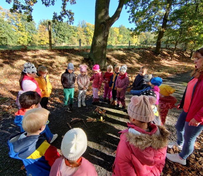 Obrázek galerie  20686