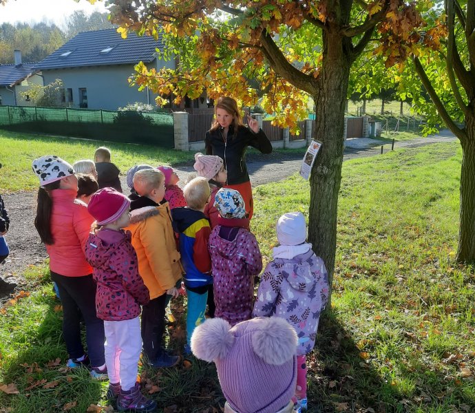 Obrázek galerie  20698