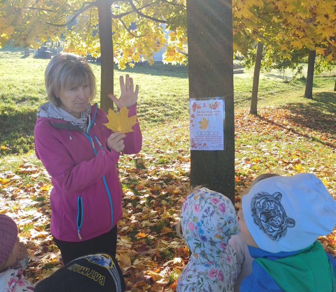 Obrázek galerie  20703