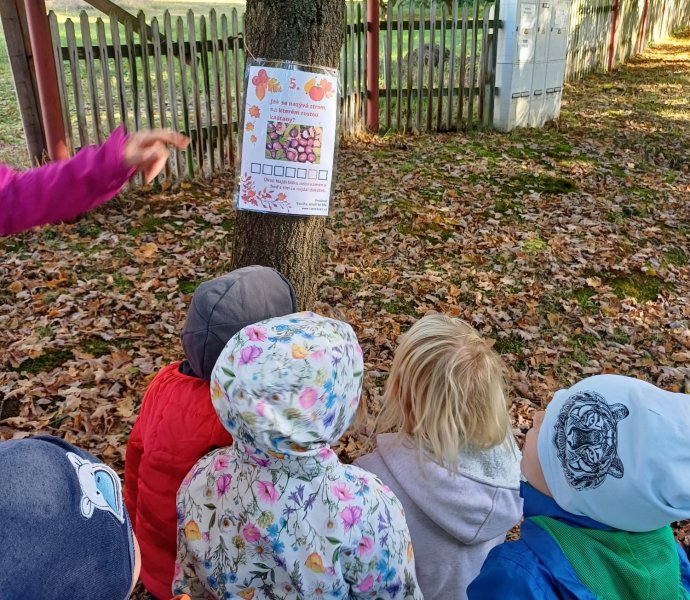 Obrázek galerie  20713