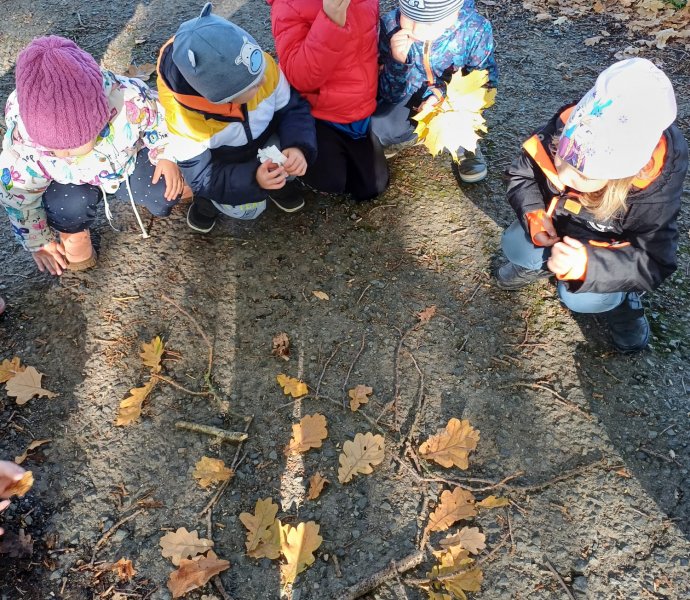 Obrázek galerie  20726