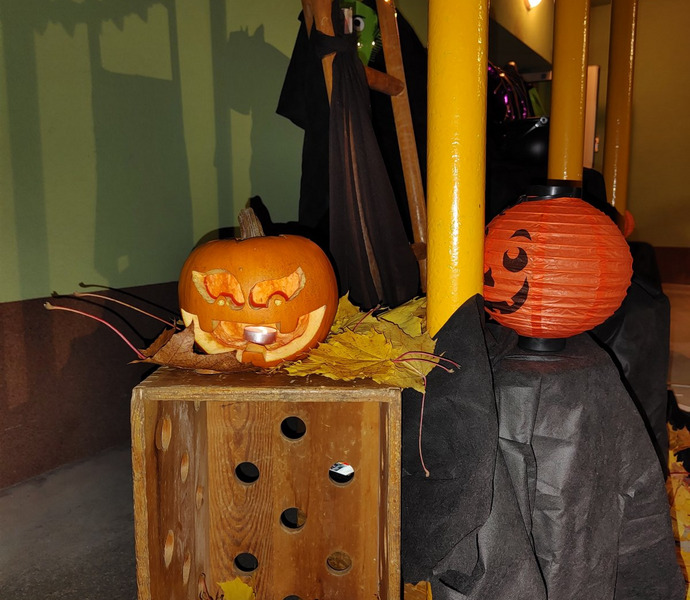 Obrázek galerie  20839