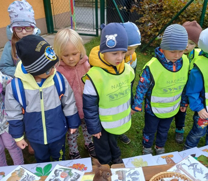 Obrázek galerie  20973