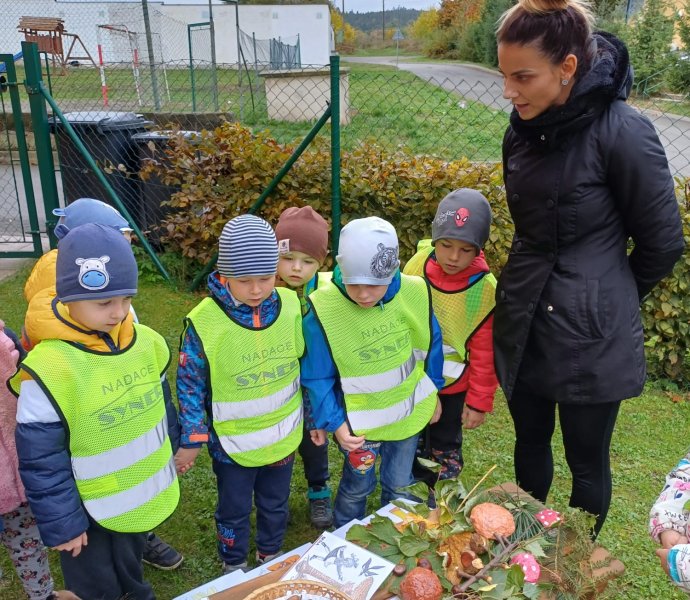 Obrázek galerie  20974