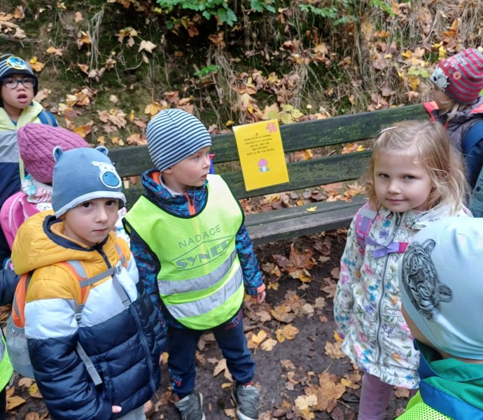 Obrázek galerie  20978