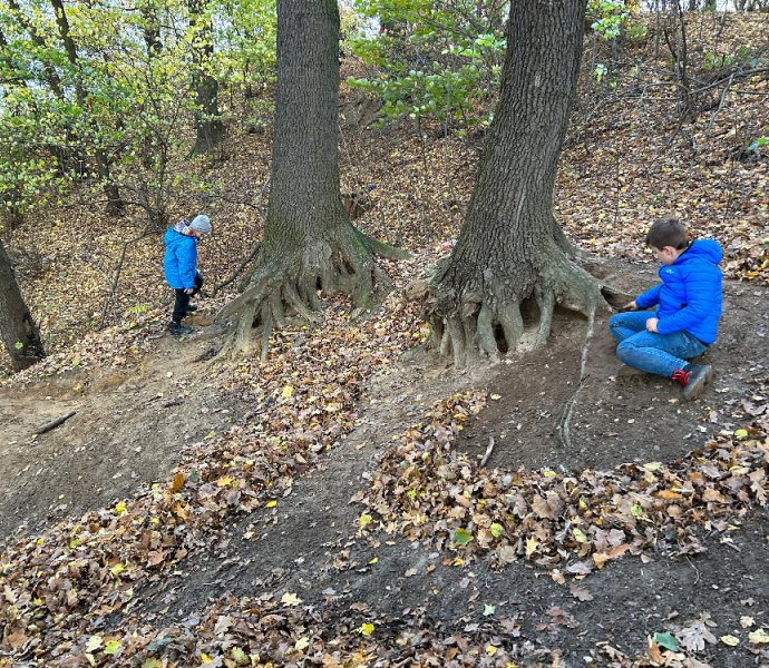 Obrázek galerie  21277