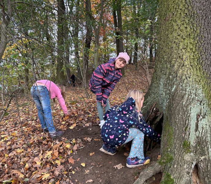 Obrázek galerie  21280