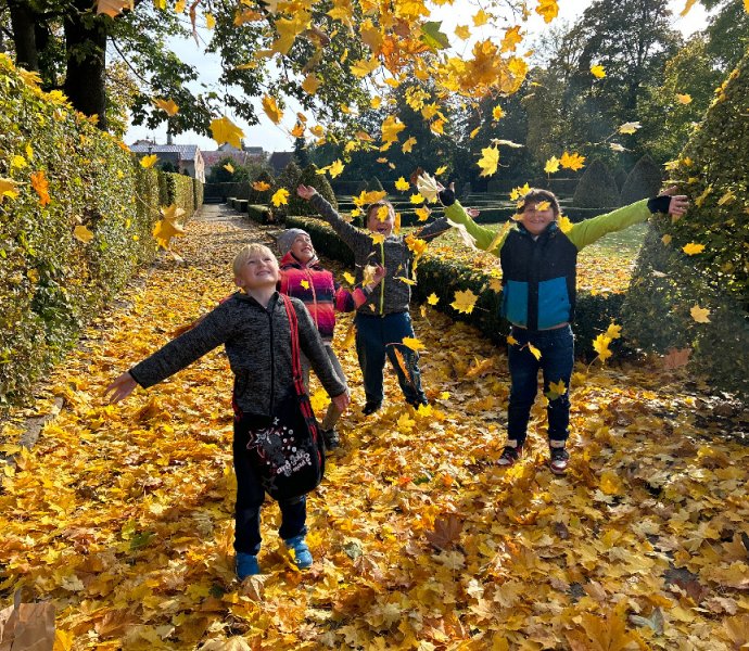 Obrázek galerie  21668