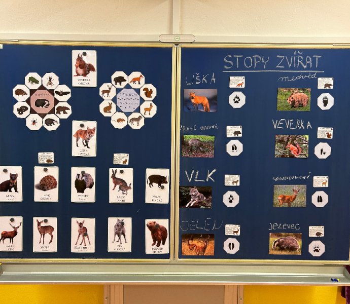 Obrázek galerie  21697