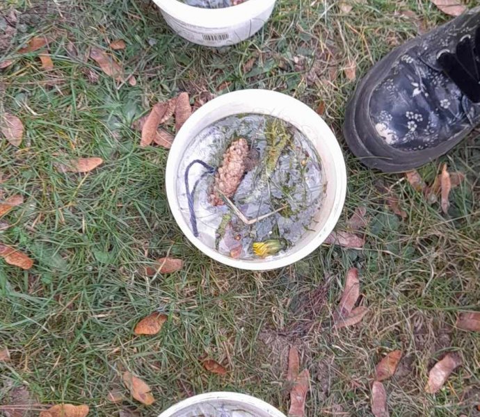 Obrázek galerie  22561