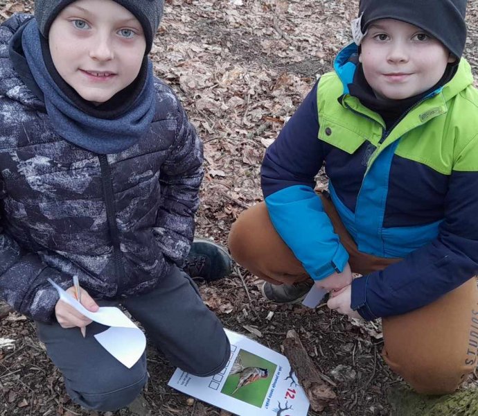 Obrázek galerie  22795