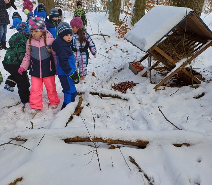 Obrázek galerie  23501