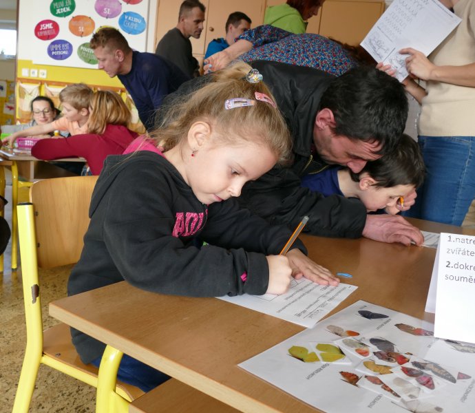 Obrázek galerie  23725