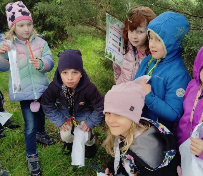 Obrázek galerie  25500