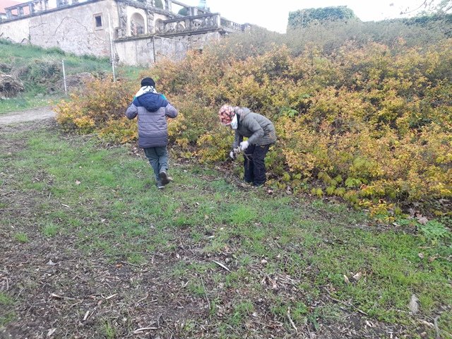 Obrázek galerie  25663