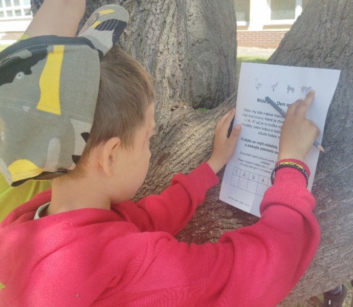 Obrázek galerie  25862