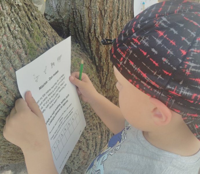 Obrázek galerie  25863