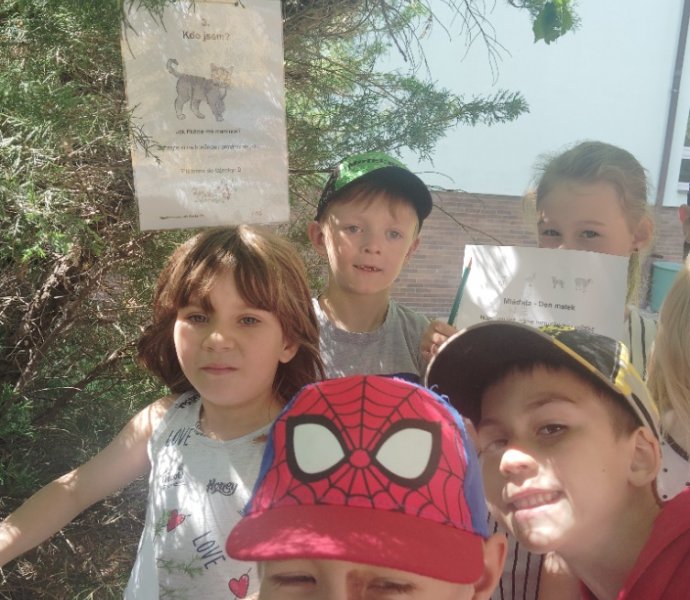 Obrázek galerie  25875