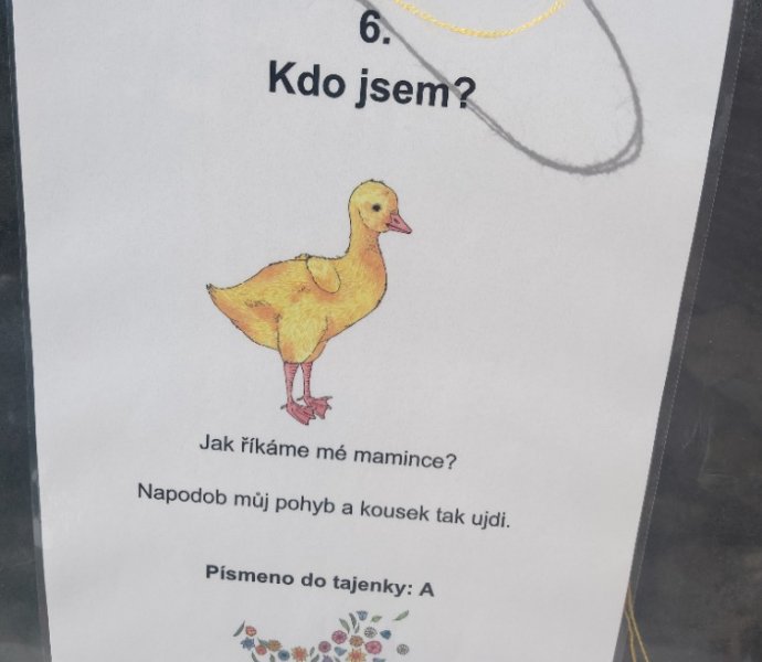 Obrázek galerie  25883