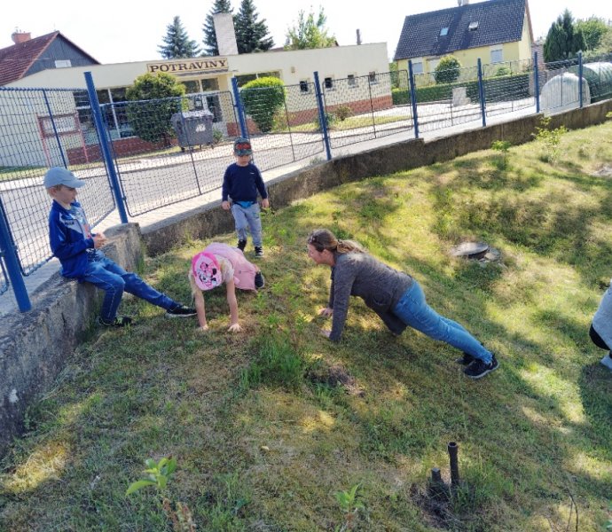 Obrázek galerie  25947