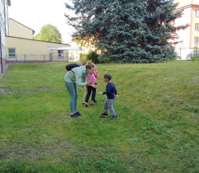 Obrázek galerie  25951