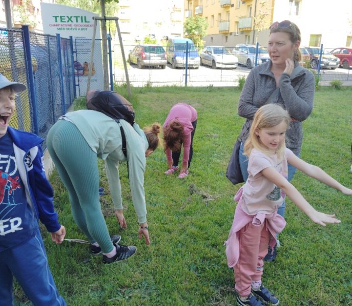 Obrázek galerie  25960