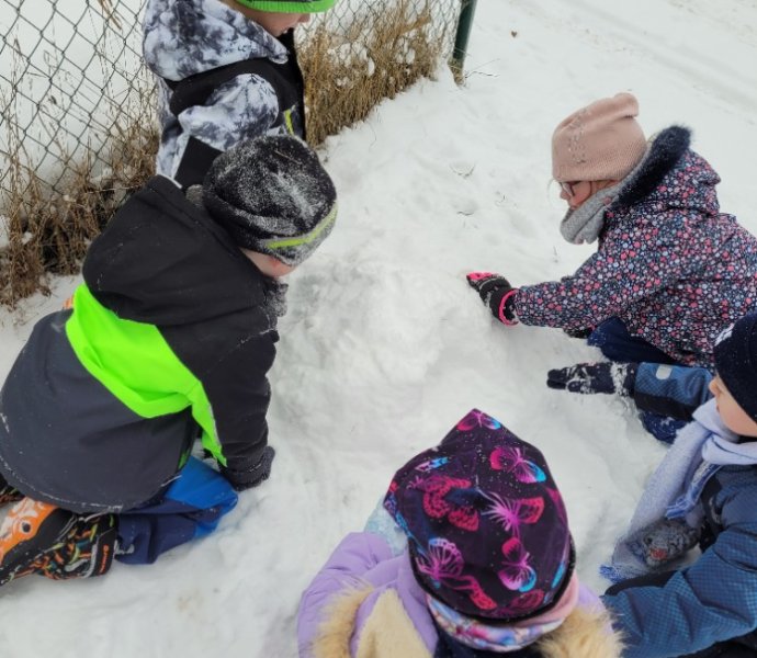 Obrázek galerie  34127