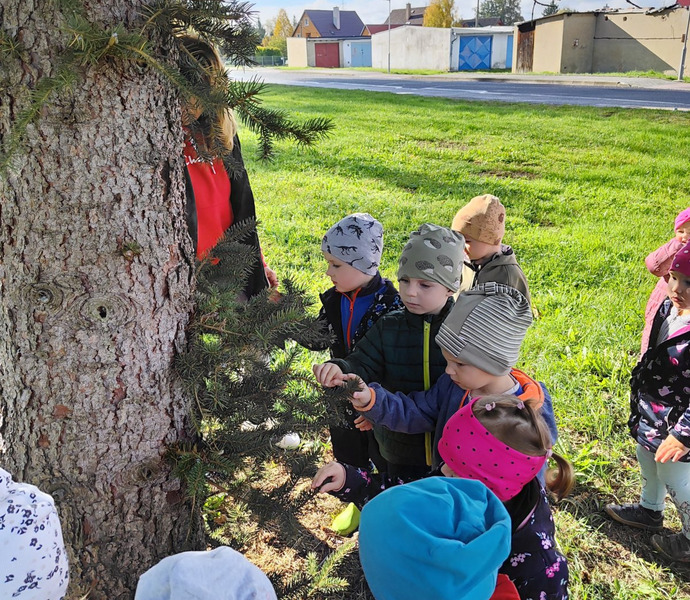 Obrázek galerie  34200